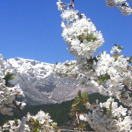 El Llano - El Hornillo, Tu Pueblo En La Sierra De Gredos. Βίλα Εξωτερικό φωτογραφία