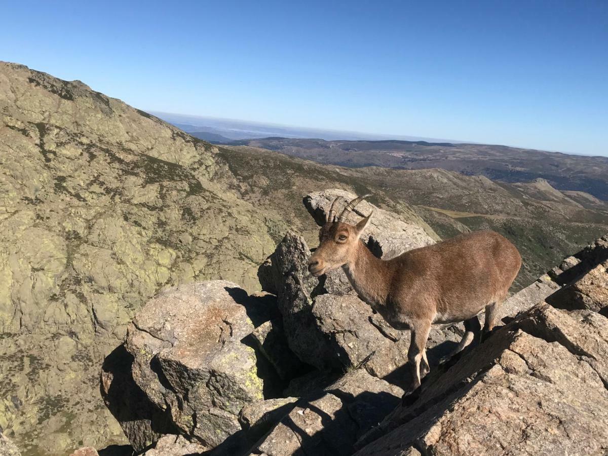 El Llano - El Hornillo, Tu Pueblo En La Sierra De Gredos. Βίλα Εξωτερικό φωτογραφία