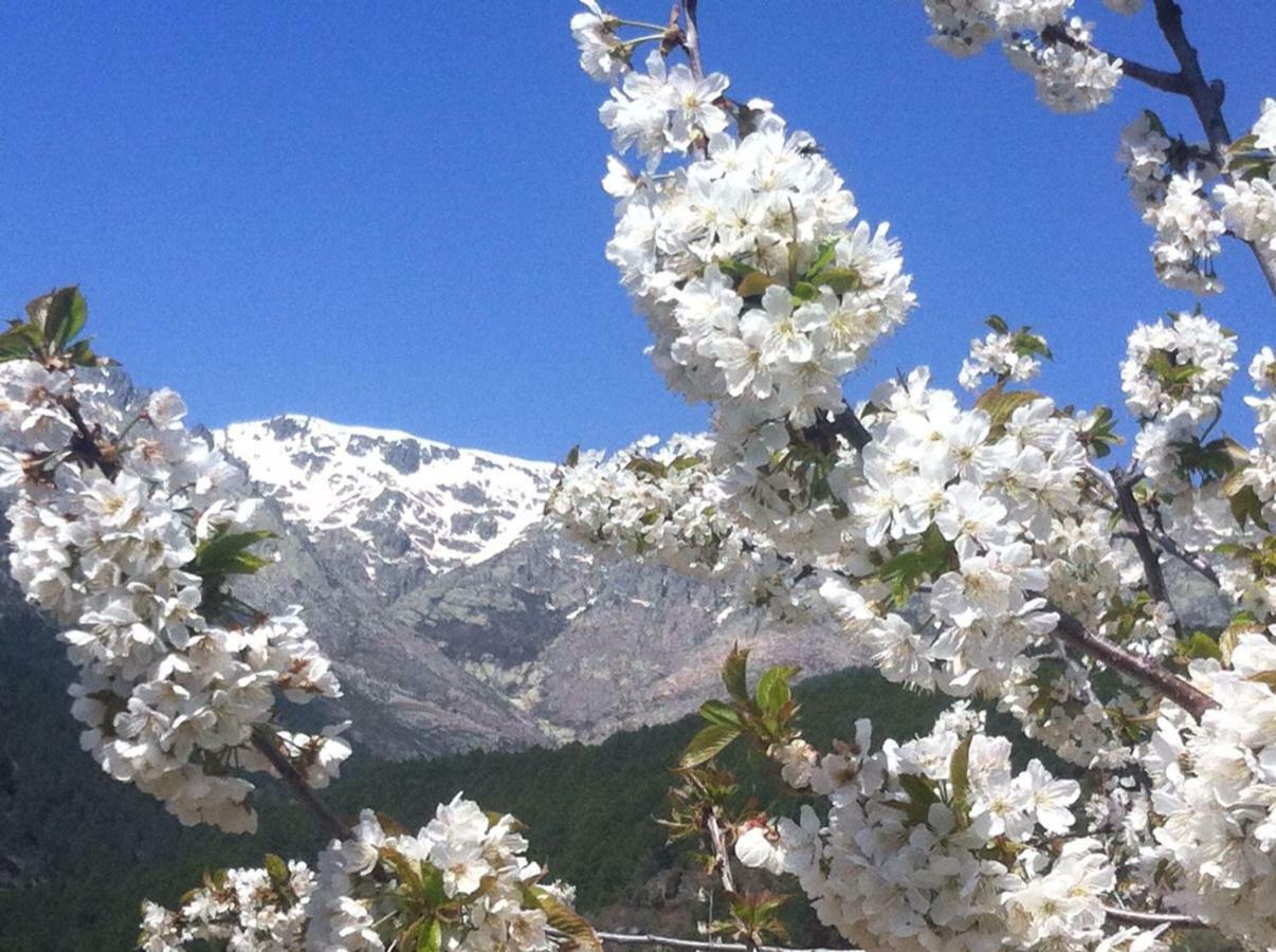 El Llano - El Hornillo, Tu Pueblo En La Sierra De Gredos. Βίλα Εξωτερικό φωτογραφία